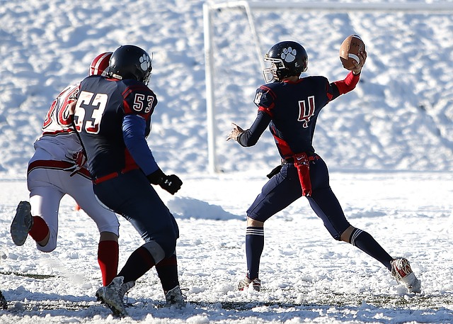 的竞争都格 的竞争都格