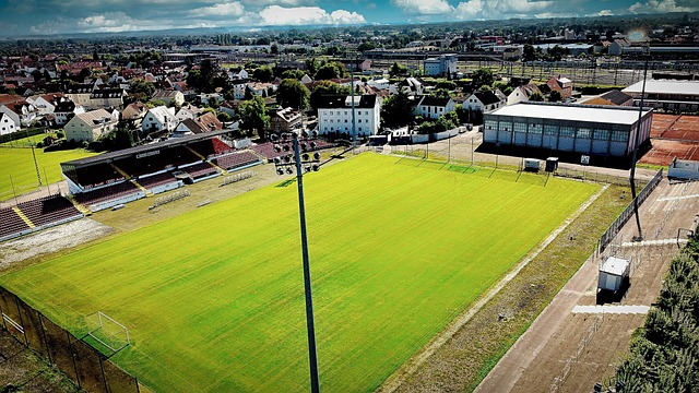 面的心理辅 面的心理辅